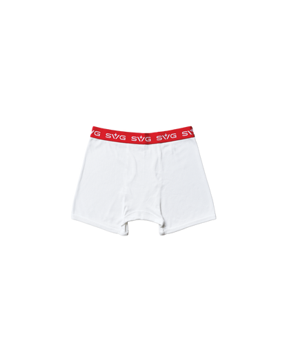 SVG White Brief
