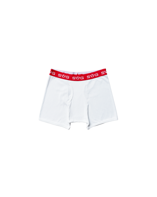 SVG White Brief